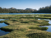 Yosemite National Park