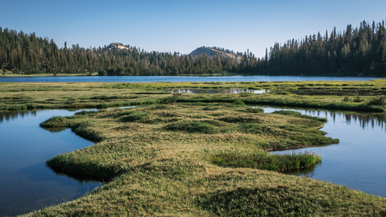 Yosemite National Park