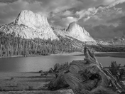 Yosemite National Park