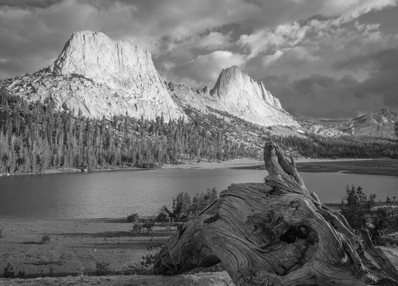 Yosemite National Park