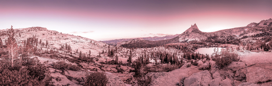 Yosemite National Park