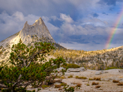 Yosemite National Park