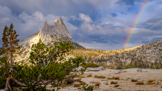 Yosemite National Park