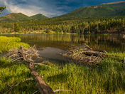 Rocky Mountain National Park