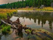 Yellowstone National Park