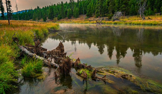 Yellowstone National Park