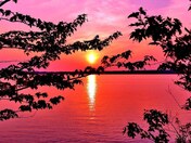 Pink... (Ottawa Ontario) 