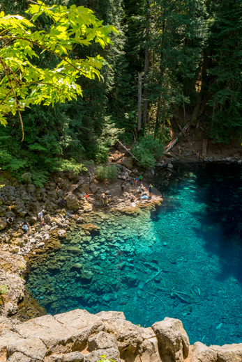 Willamette National Forest