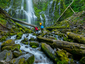 Willamette National Forest