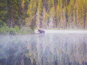 Grand Teton National Park
