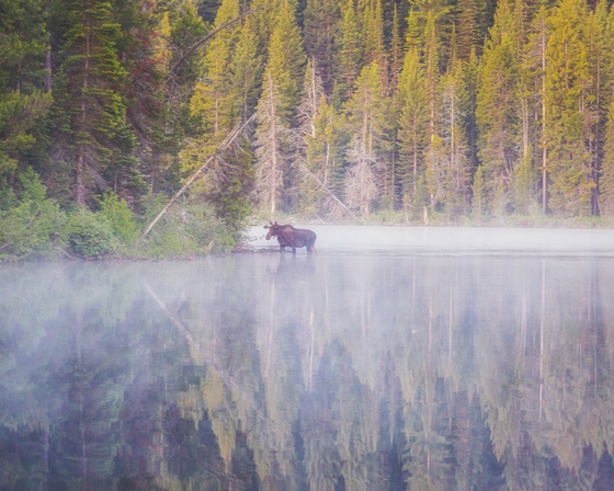 Grand Teton National Park