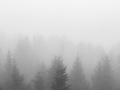 Great Smoky Mountains National Park