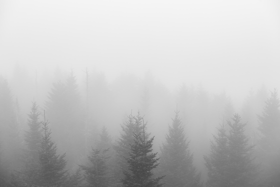 Great Smoky Mountains National Park