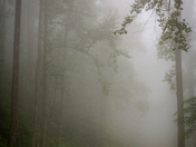 Great Smoky Mountains National Park