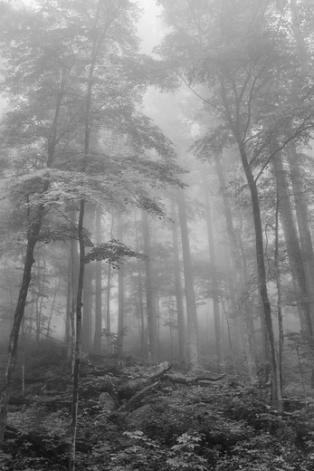 Great Smoky Mountains National Park