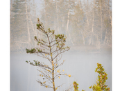Vacation north of Elliot Lake