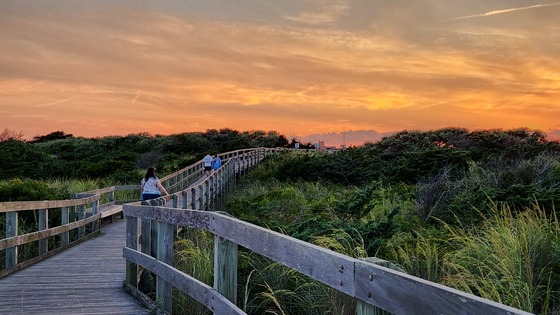 Fire Island National Seashore