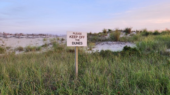 Fire Island National Seashore