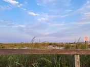 Fire Island National Seashore