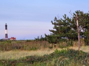 Fire Island National Seashore
