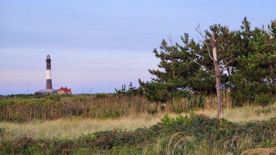 Fire Island National Seashore