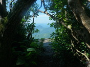 Nantahala National forest