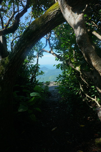 Nantahala National forest