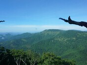 Nantahala National forest
