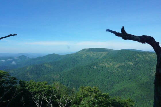 Nantahala National forest