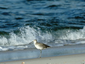 Bon Secour National Wildlife Refuge