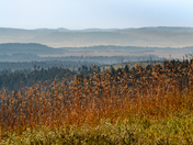 Wind Cave National Park