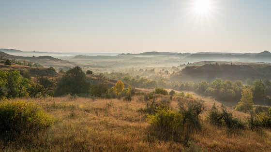 Theodore Roosevelt National Park