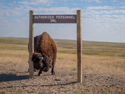 Badlands National Park 
