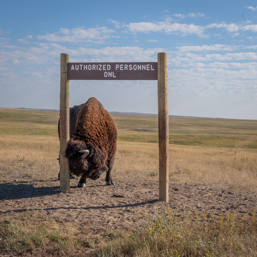 Badlands National Park 