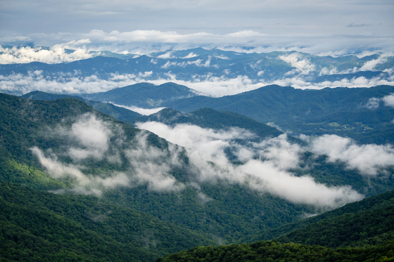 Blue Ridge Parkway