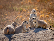 Badlands National Park