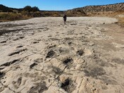 Dinosaur Tracks, Comanche National Grassland