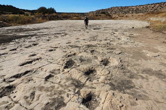 Dinosaur Tracks, Comanche National Grassland