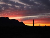 Tonto National Forest