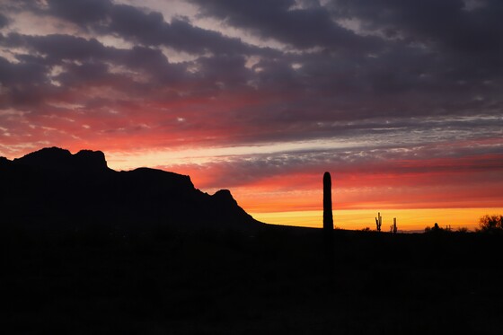 Tonto National Forest