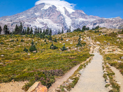 Mt Rainier National Park