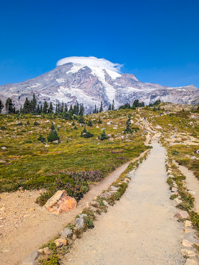 Mt Rainier National Park
