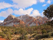 Coconino National Forest