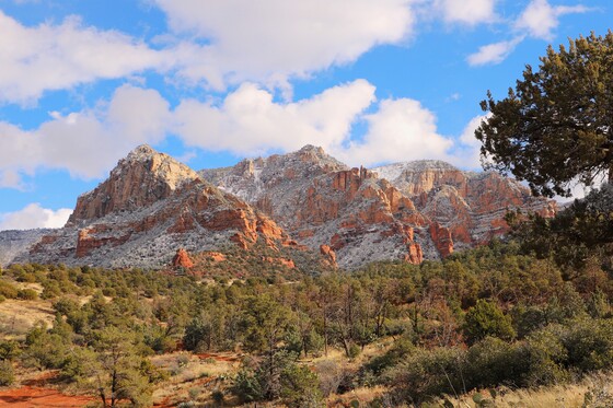 Coconino National Forest