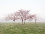 National Mall and Memorial Parks