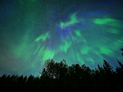 Aurora Borealis near Fox Creek, Alberts