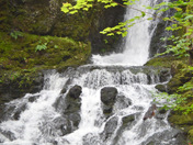 Dickson Falls