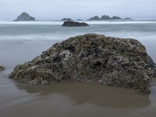 Coquille National Wildlife Refuge