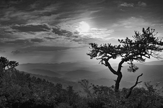 Blue Ridge Parkway 