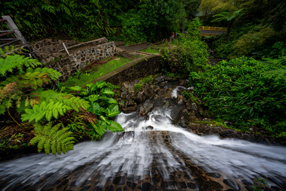 El Yunque National Forest